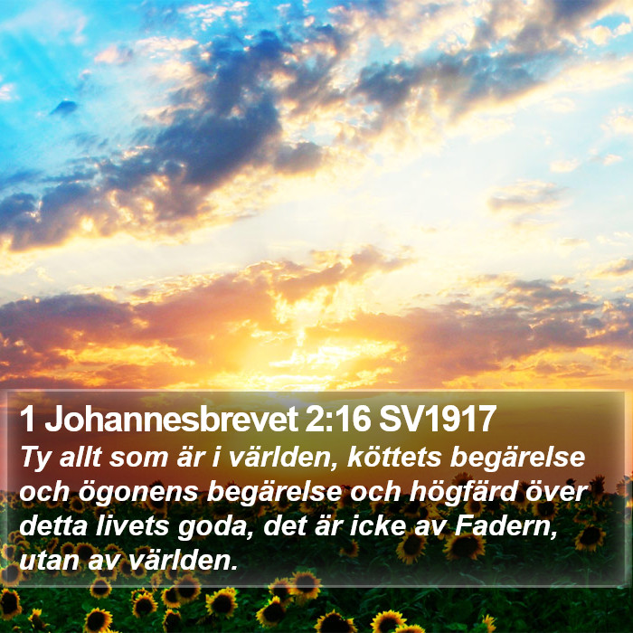 1 Johannesbrevet 2:16 SV1917 Bible Study