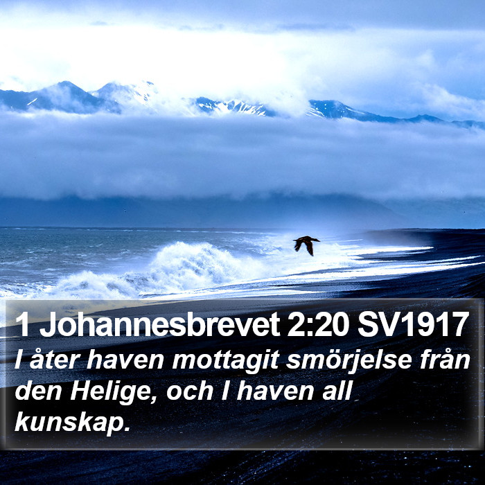 1 Johannesbrevet 2:20 SV1917 Bible Study