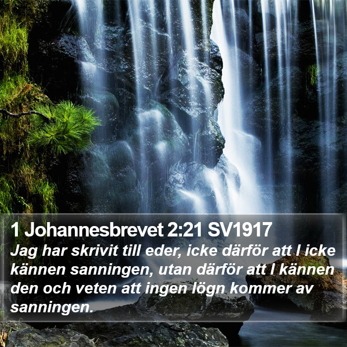 1 Johannesbrevet 2:21 SV1917 Bible Study