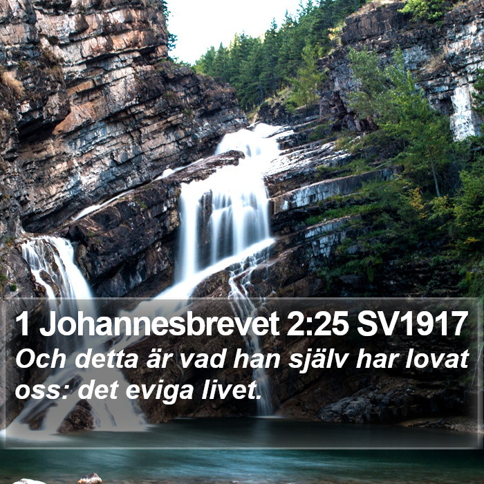 1 Johannesbrevet 2:25 SV1917 Bible Study