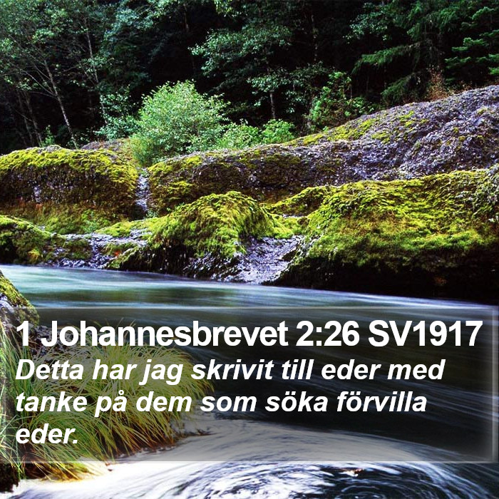 1 Johannesbrevet 2:26 SV1917 Bible Study