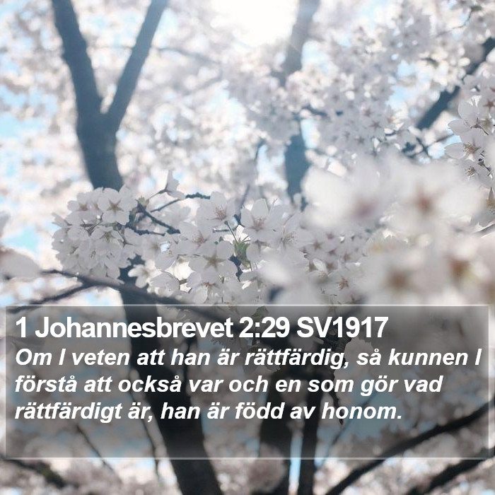 1 Johannesbrevet 2:29 SV1917 Bible Study