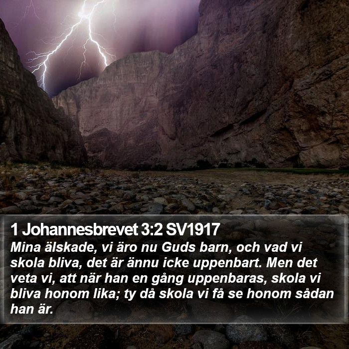 1 Johannesbrevet 3:2 SV1917 Bible Study
