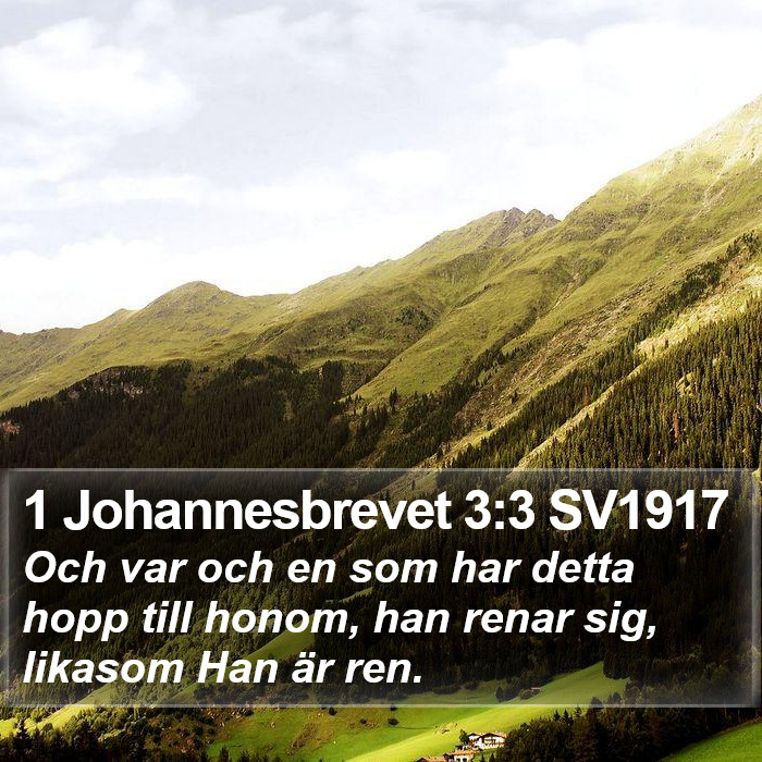 1 Johannesbrevet 3:3 SV1917 Bible Study