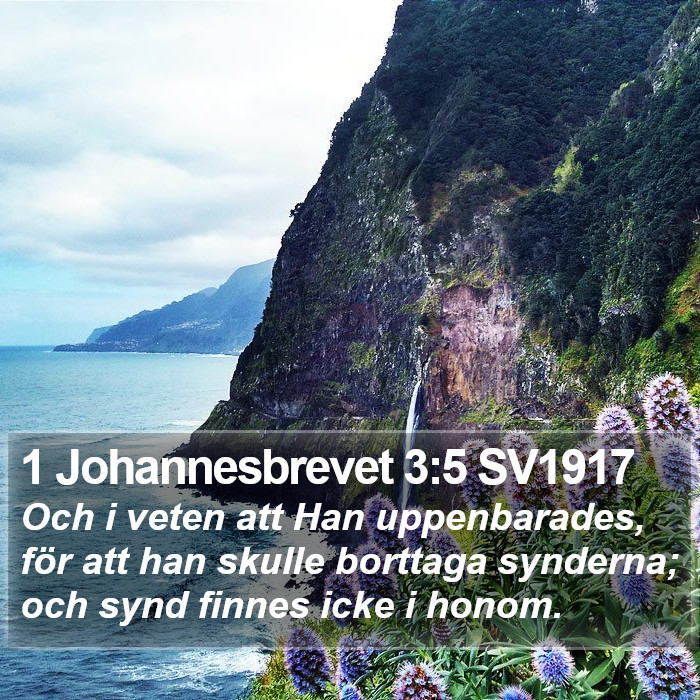 1 Johannesbrevet 3:5 SV1917 Bible Study