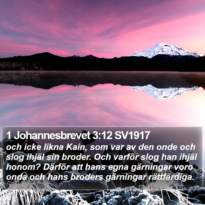 1 Johannesbrevet 3:12 SV1917 Bible Study