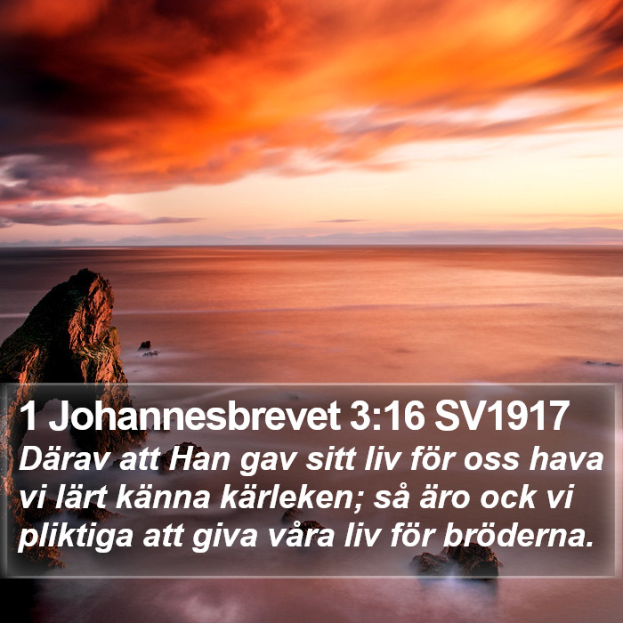 1 Johannesbrevet 3:16 SV1917 Bible Study