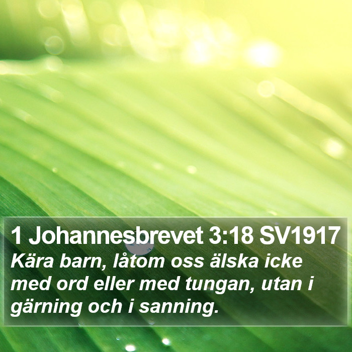 1 Johannesbrevet 3:18 SV1917 Bible Study