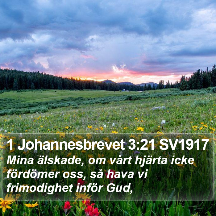 1 Johannesbrevet 3:21 SV1917 Bible Study