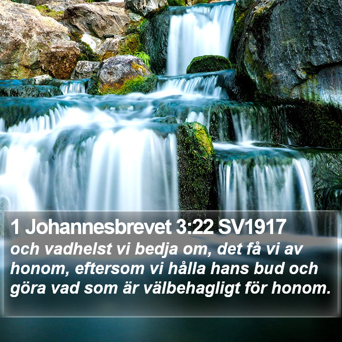 1 Johannesbrevet 3:22 SV1917 Bible Study