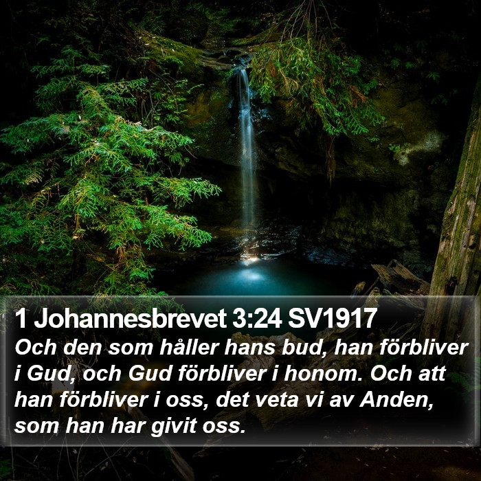 1 Johannesbrevet 3:24 SV1917 Bible Study