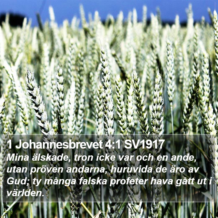 1 Johannesbrevet 4:1 SV1917 Bible Study