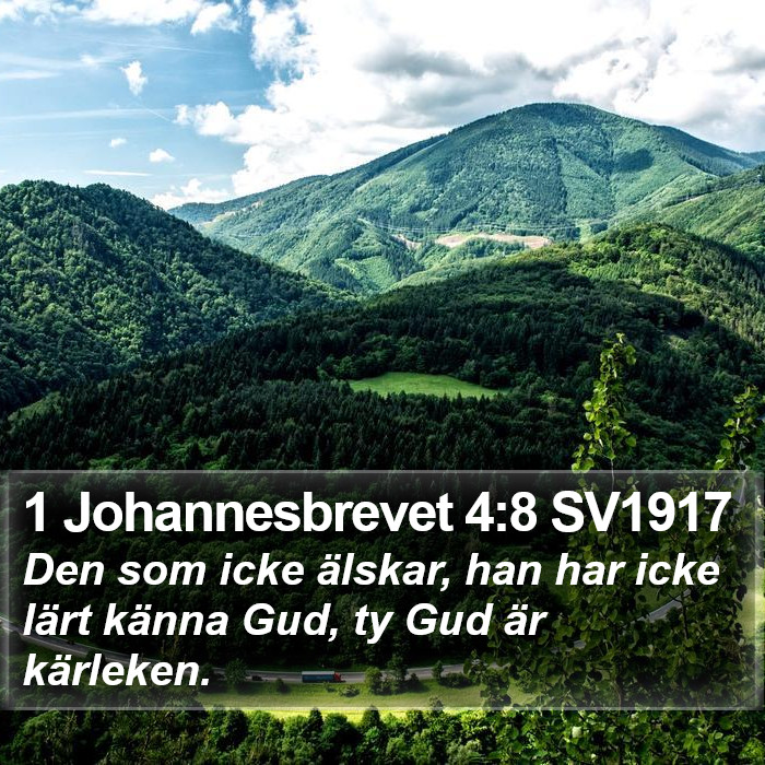 1 Johannesbrevet 4:8 SV1917 Bible Study