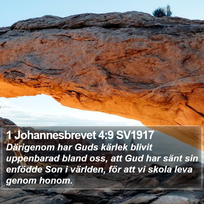 1 Johannesbrevet 4:9 SV1917 Bible Study
