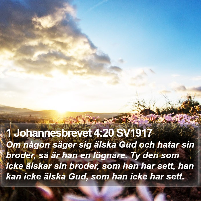 1 Johannesbrevet 4:20 SV1917 Bible Study