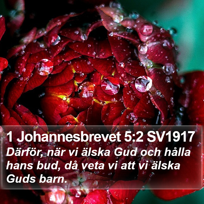 1 Johannesbrevet 5:2 SV1917 Bible Study