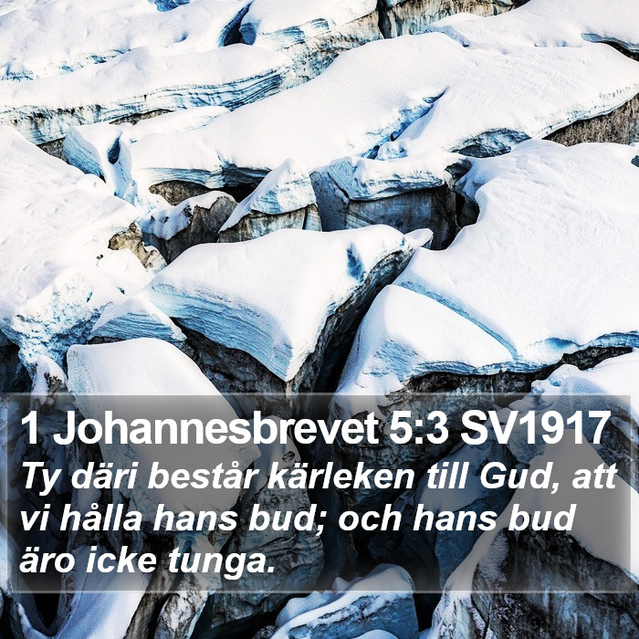 1 Johannesbrevet 5:3 SV1917 Bible Study