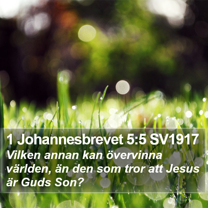 1 Johannesbrevet 5:5 SV1917 Bible Study