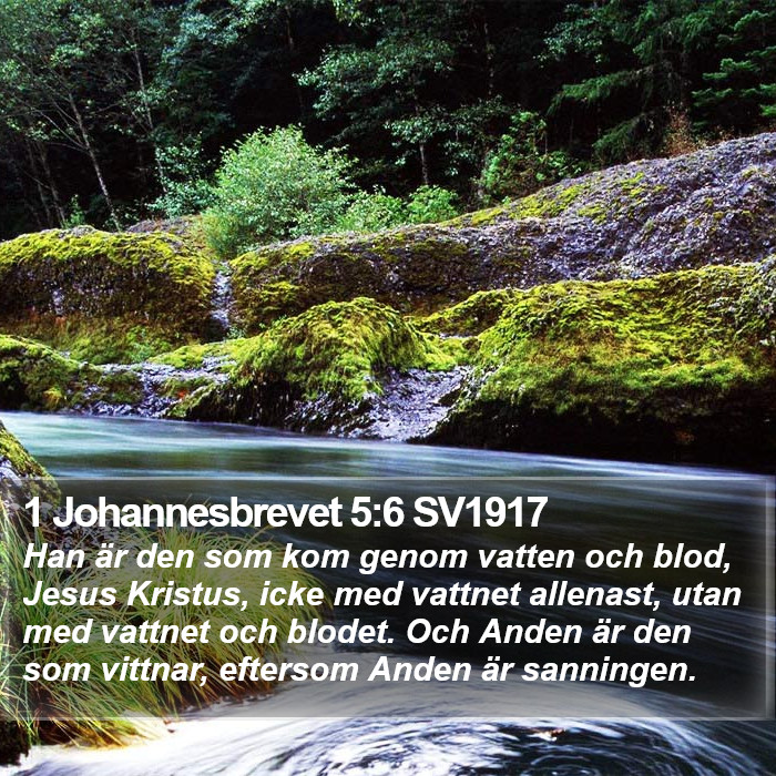 1 Johannesbrevet 5:6 SV1917 Bible Study