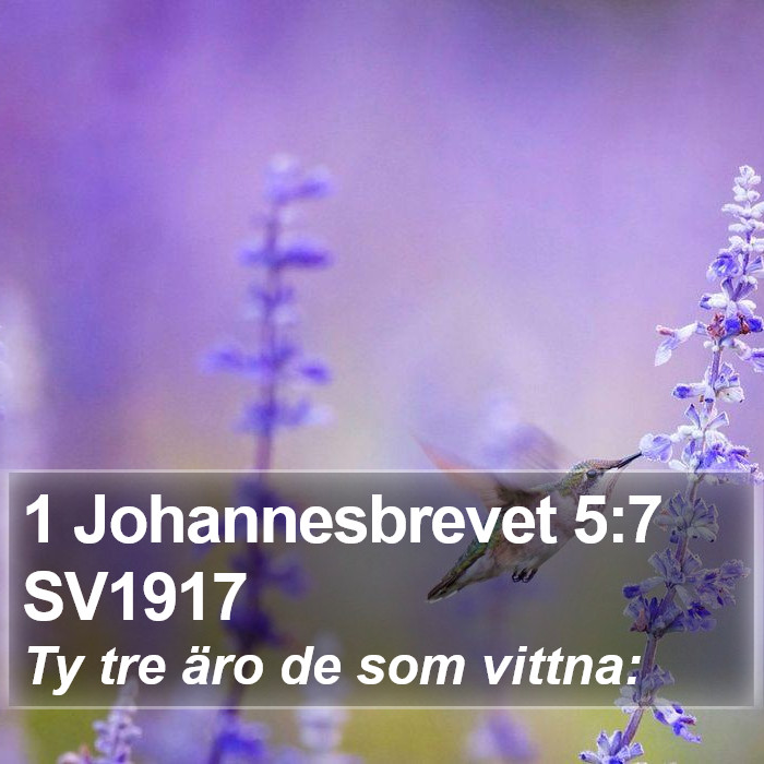 1 Johannesbrevet 5:7 SV1917 Bible Study