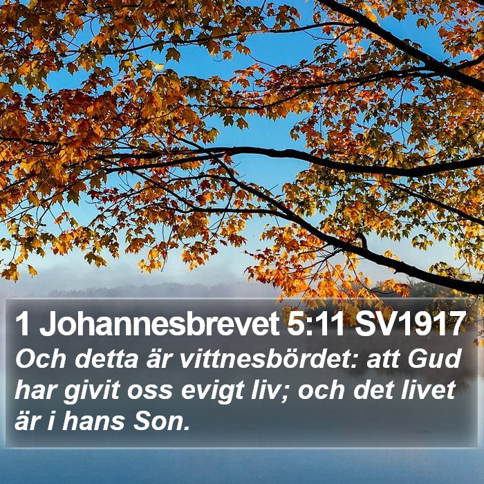 1 Johannesbrevet 5:11 SV1917 Bible Study