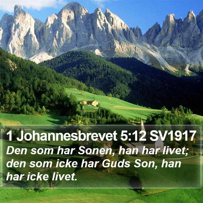 1 Johannesbrevet 5:12 SV1917 Bible Study