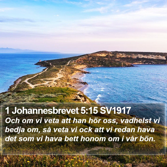 1 Johannesbrevet 5:15 SV1917 Bible Study