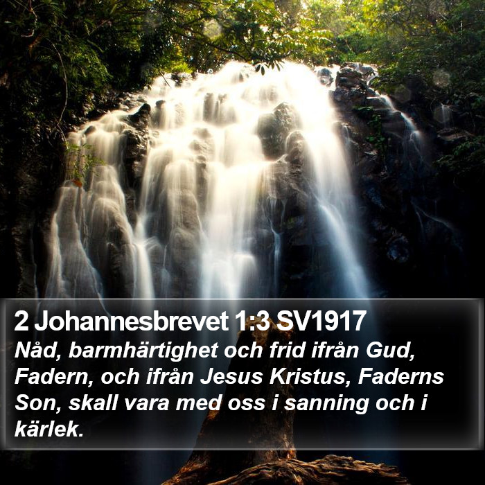 2 Johannesbrevet 1:3 SV1917 Bible Study