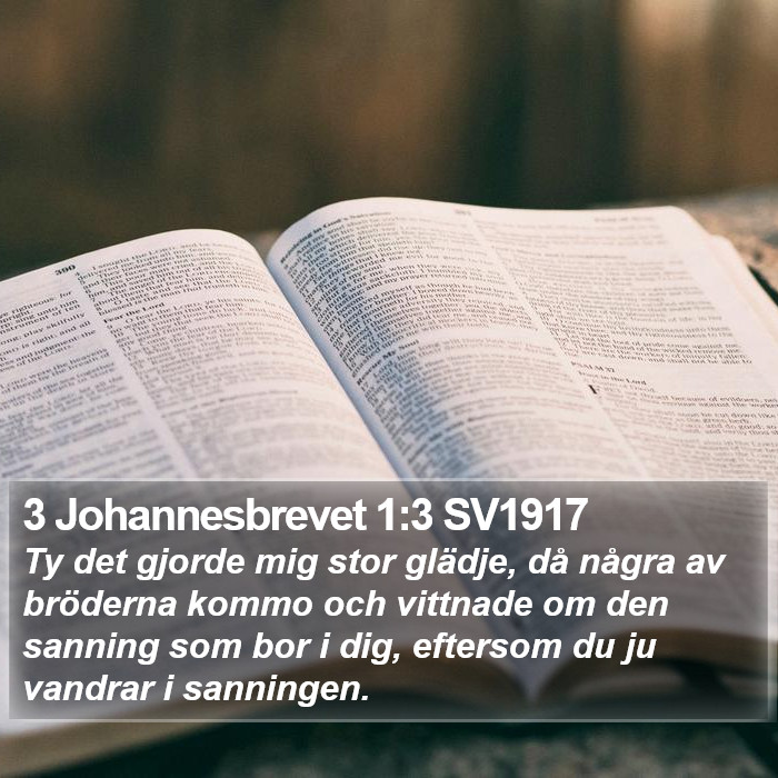 3 Johannesbrevet 1:3 SV1917 Bible Study