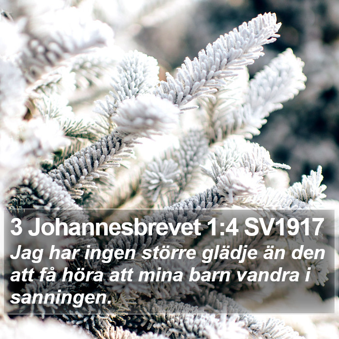 3 Johannesbrevet 1:4 SV1917 Bible Study