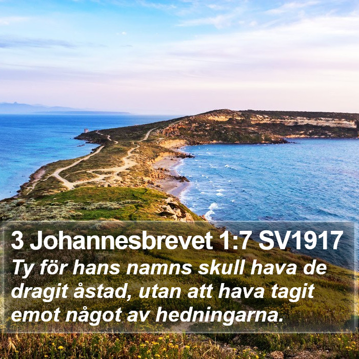 3 Johannesbrevet 1:7 SV1917 Bible Study