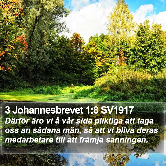 3 Johannesbrevet 1:8 SV1917 Bible Study