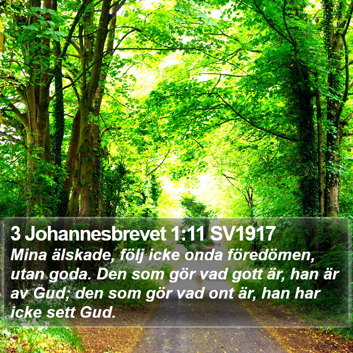 3 Johannesbrevet 1:11 SV1917 Bible Study