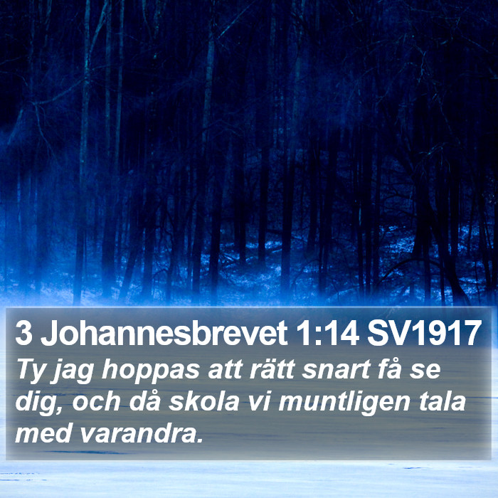 3 Johannesbrevet 1:14 SV1917 Bible Study