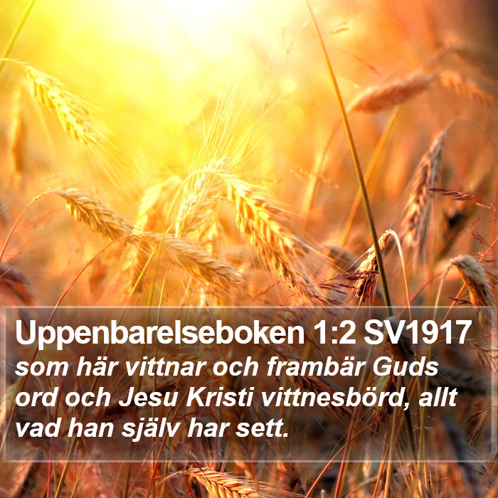 Uppenbarelseboken 1:2 SV1917 Bible Study