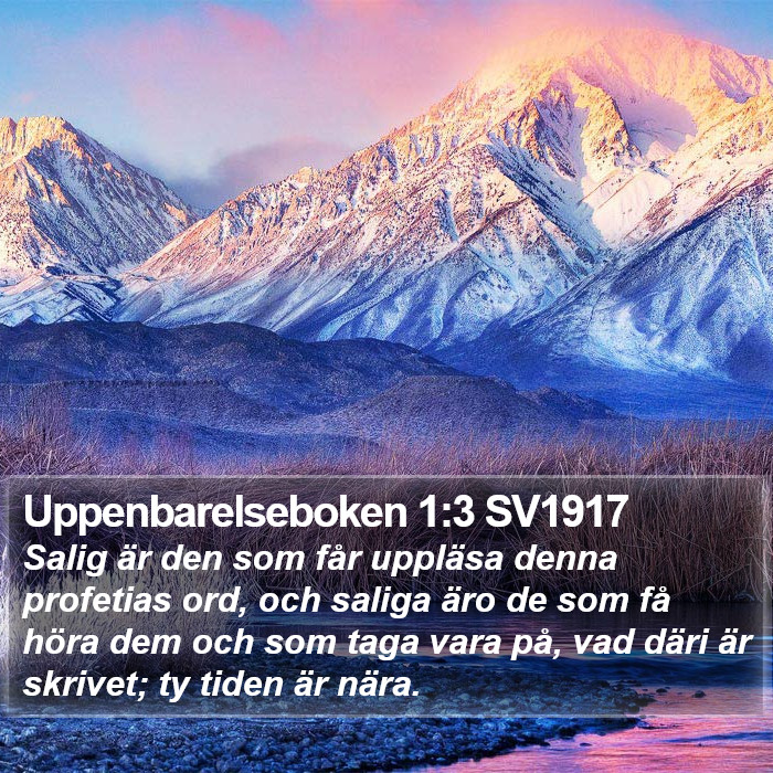 Uppenbarelseboken 1:3 SV1917 Bible Study