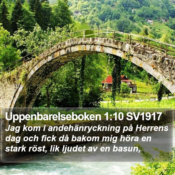 Uppenbarelseboken 1:10 SV1917 Bible Study