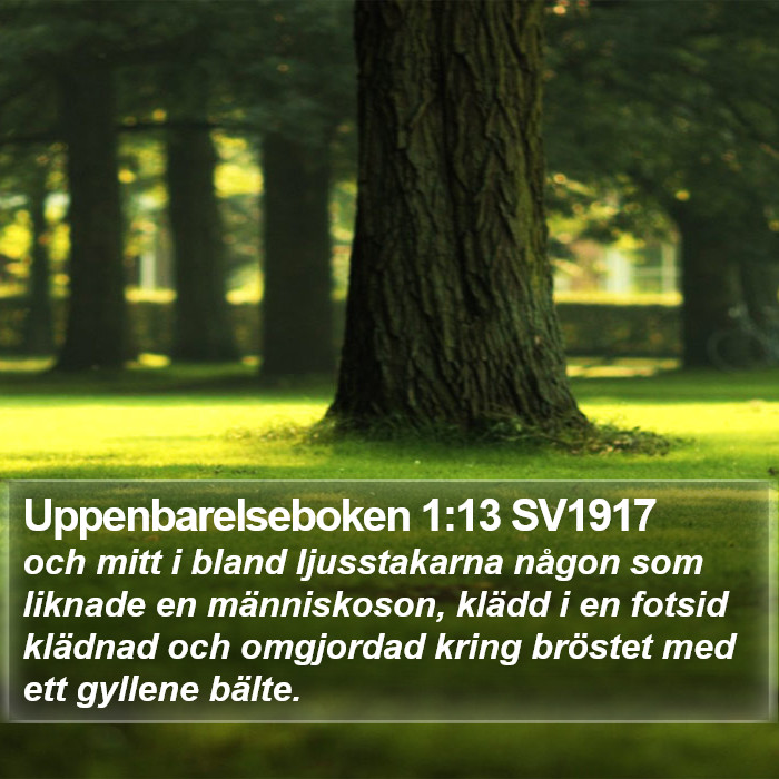 Uppenbarelseboken 1:13 SV1917 Bible Study