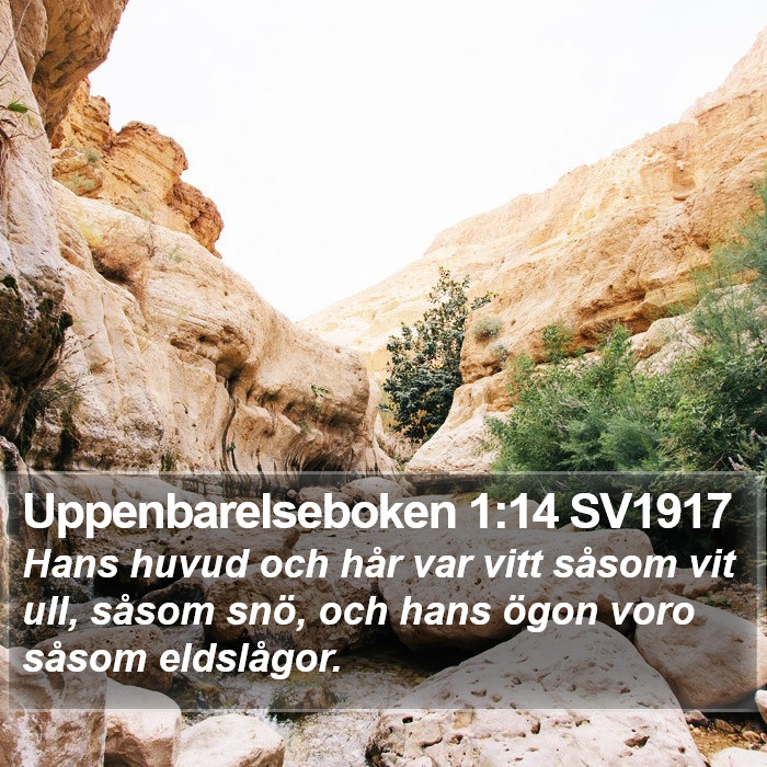 Uppenbarelseboken 1:14 SV1917 Bible Study