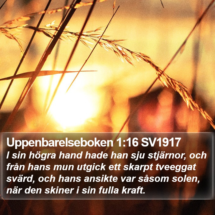 Uppenbarelseboken 1:16 SV1917 Bible Study