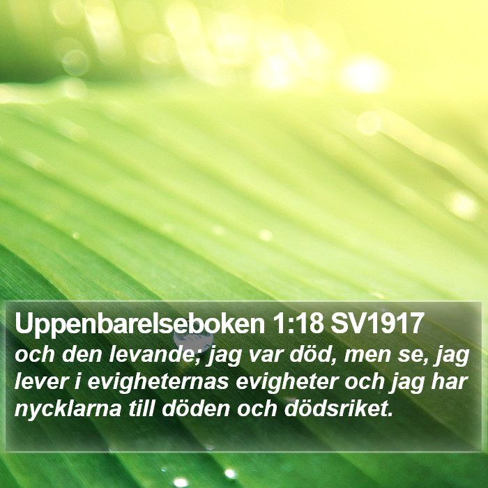 Uppenbarelseboken 1:18 SV1917 Bible Study