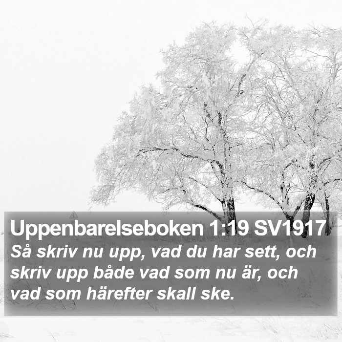 Uppenbarelseboken 1:19 SV1917 Bible Study