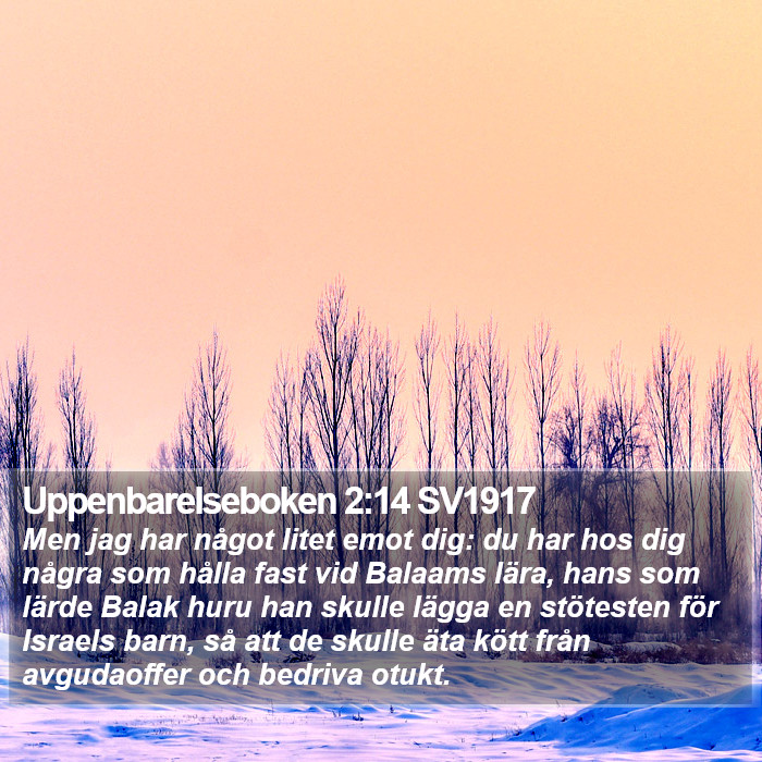 Uppenbarelseboken 2:14 SV1917 Bible Study