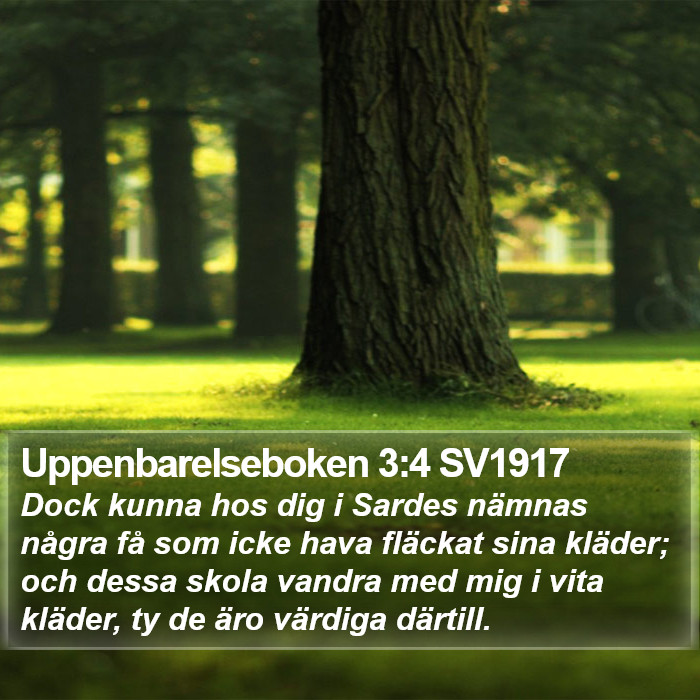 Uppenbarelseboken 3:4 SV1917 Bible Study