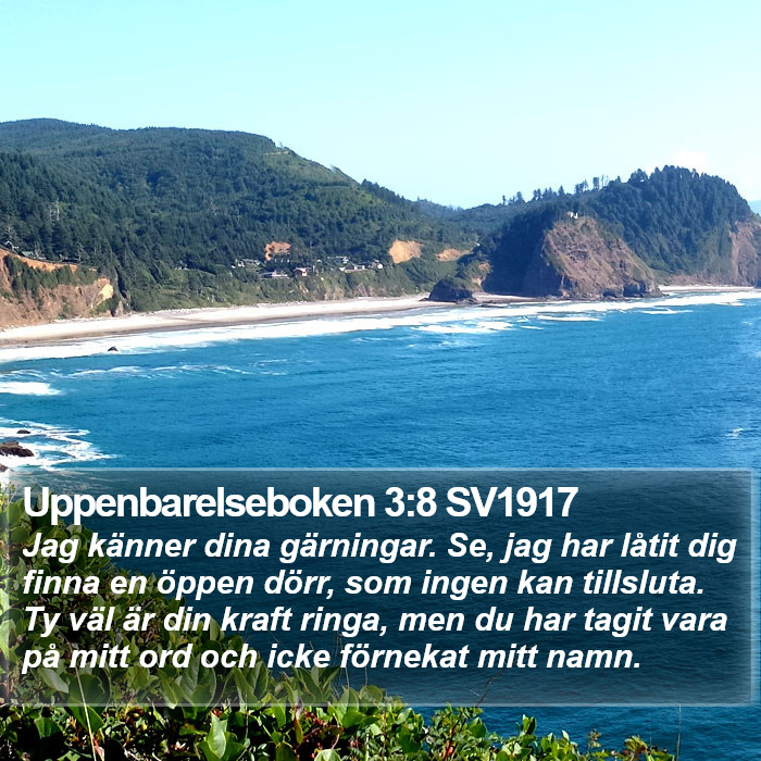 Uppenbarelseboken 3:8 SV1917 Bible Study