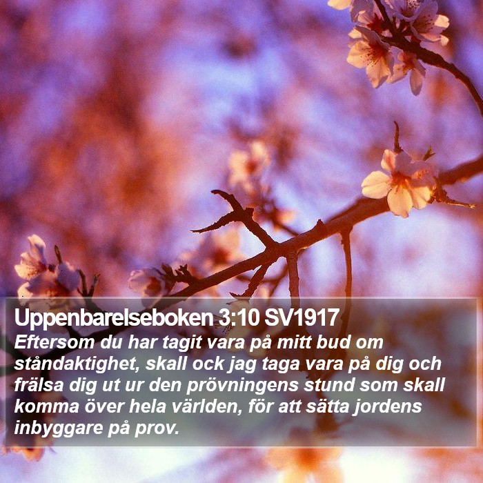 Uppenbarelseboken 3:10 SV1917 Bible Study