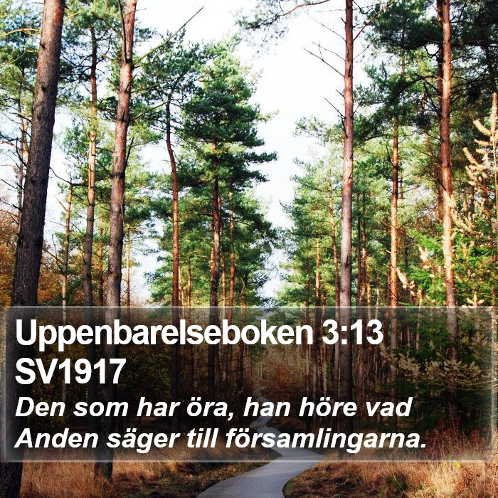 Uppenbarelseboken 3:13 SV1917 Bible Study