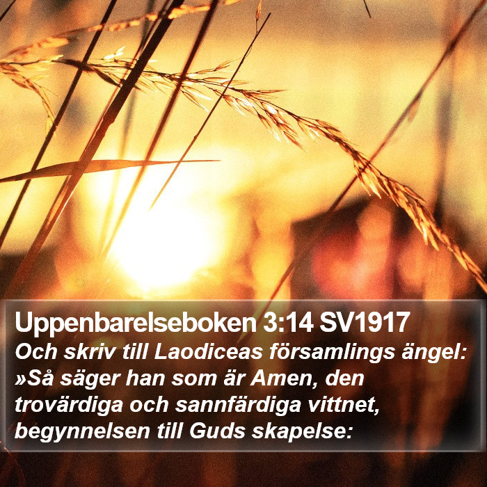 Uppenbarelseboken 3:14 SV1917 Bible Study