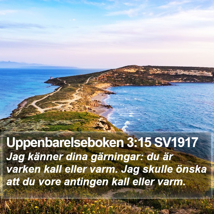 Uppenbarelseboken 3:15 SV1917 Bible Study