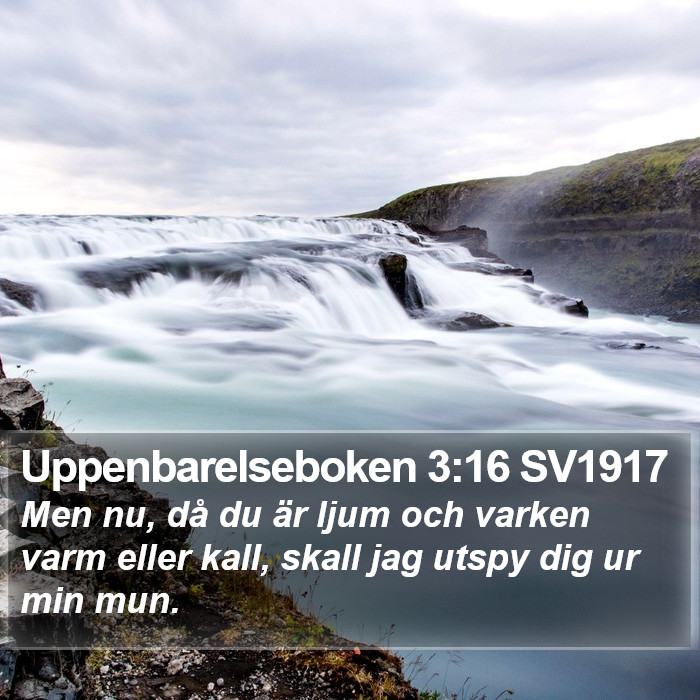 Uppenbarelseboken 3:16 SV1917 Bible Study